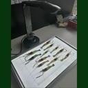 點(diǎn)擊查看 SC-B型魚蝦苗自動(dòng)測(cè)量分析儀 詳細(xì)