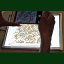 點擊查看 SC-H手機拍照款種子數(shù)粒儀,自動計數(shù)儀 詳細(xì)