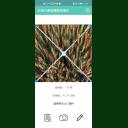 點擊查看 萬深SC-MS增強型小麥畝穗數(shù)測量分析系統(tǒng) 詳細(xì)